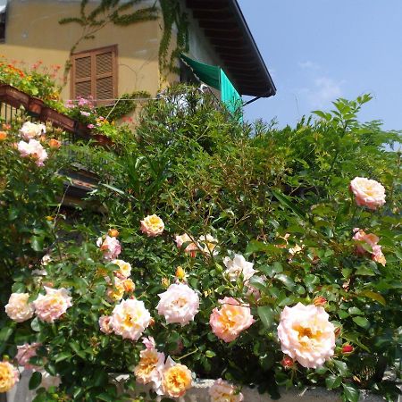 Il Giuggiolo Bed and Breakfast Calco  Εξωτερικό φωτογραφία